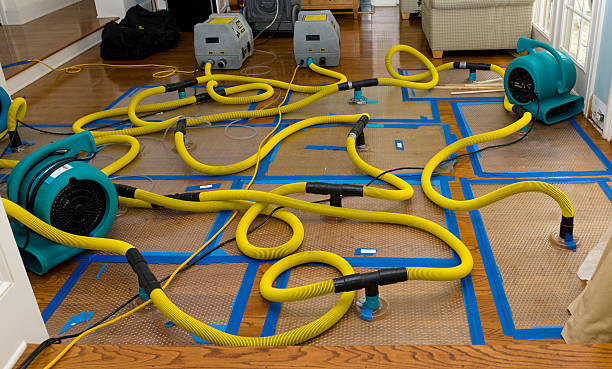 Professional Structural Drying And Dehumidification technician working in Hibbing, MN